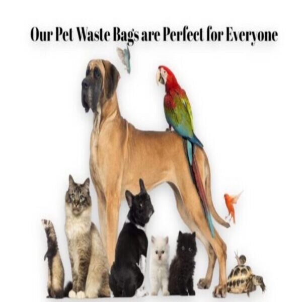 51ymUJeD6EL-1-600x371 Sand Dipper Cat Litter Waste Bags | Strong Thick Odor Sealing (Medium 50 Roll)