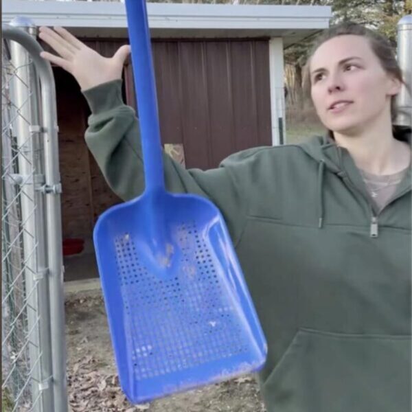 61RrhELrzDL-3-600x625 (1) Sand Dipper Treasure Shovel Digger Sifter - Tough Plastic Shovel for Beach, Chicken Coop Poop, Goat Stall Cleaning, and Backyard Barns