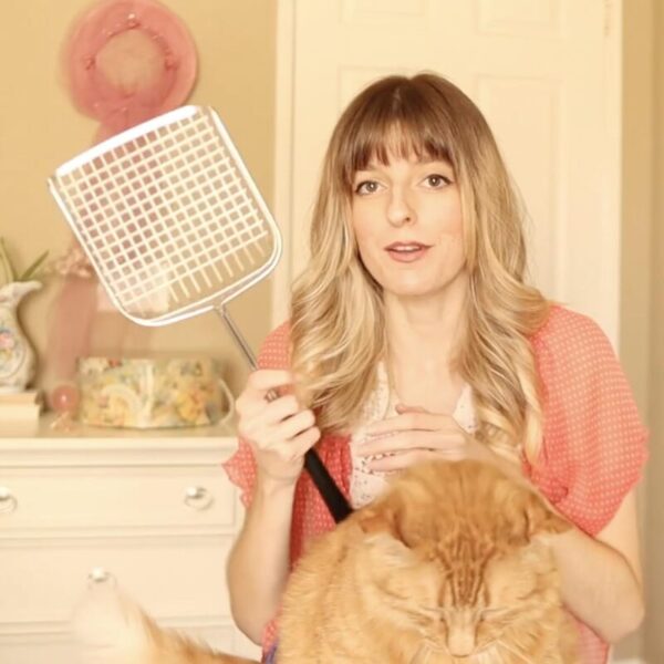 61lc9g496dL-1-1 Sand Dipper Cat Poop Scooper & Chicken Poop Scooper - Rugged Big 6" Square Stainless Steel Long Handle for Home Kitty Litter Scoop & Farm Chicken Coop Scooper (Mid-Adjustable)