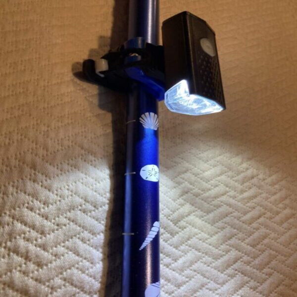 71GzIS6ugUL-600x900 Sand Dipper Pole Light