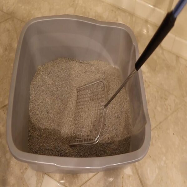 71yz9QO10HL Sand Dipper Cat Poop Scooper & Chicken Poop Scooper - Rugged Big 6" Square Stainless Steel Long Handle for Home Kitty Litter Scoop & Farm Chicken Coop Scooper (Mid-Adjustable)