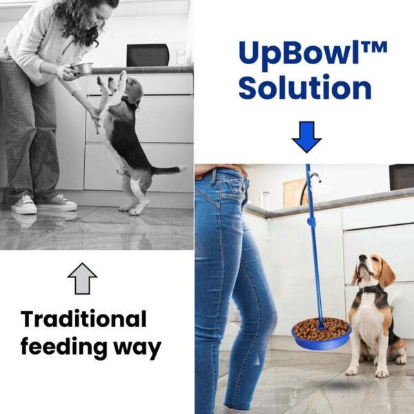 81OKkYyB5fL (1) UpBowl™ Kit - Pole and 2 Bowls – No-Bend Bowl Lifter | Effortlessly Lift, Fill & Place Your Pet’s Bowl Without Bending