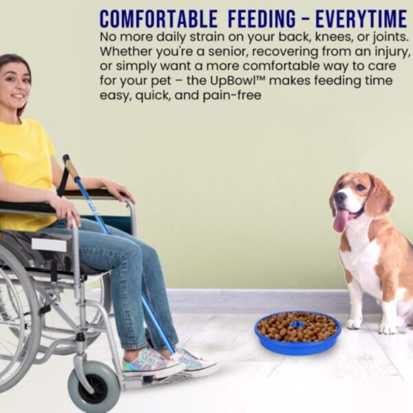 81hyv-1H-5L-600x600 (1) UpBowl™ Kit - Pole and 2 Bowls – No-Bend Bowl Lifter | Effortlessly Lift, Fill & Place Your Pet’s Bowl Without Bending