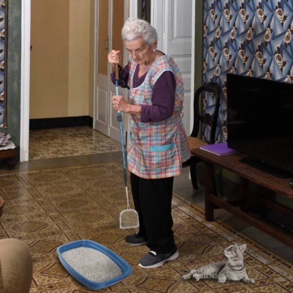 A1JgNF1T9L-600x600 Sand Dipper Metal Cat Litter Scoop – Long Handle Cat Poop Scooper for Litter Box (41”), Heavy-Duty Stainless Steel Kitty Litter Scoop (Mid-Adjustable)