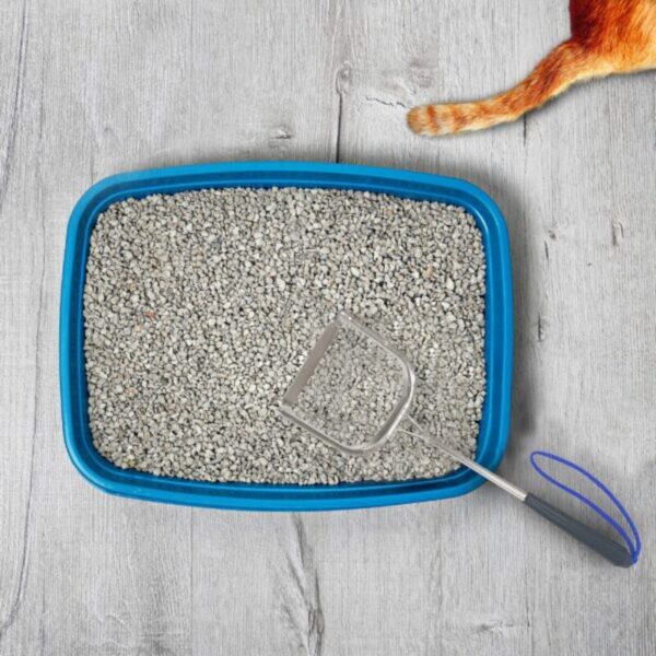 A1YLfL4jF3L-600x600 Sand Dipper Metal Cat Litter Scoop – Long Handle Cat Poop Scooper for Litter Box (15”), Heavy-Duty Stainless Steel Kitty Litter Scoop (Scoop)