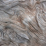 Sand Dipper - Limited Edition - Wood Pattern Adjustable Beach Combing Scoops