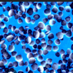 Sand Dipper 3 Pocket Shell Collecting Beach Bag Luxury Cotton Limited Edition Prints