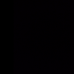 Sand Dipper Seashell Bag Fanny Pack Unisex